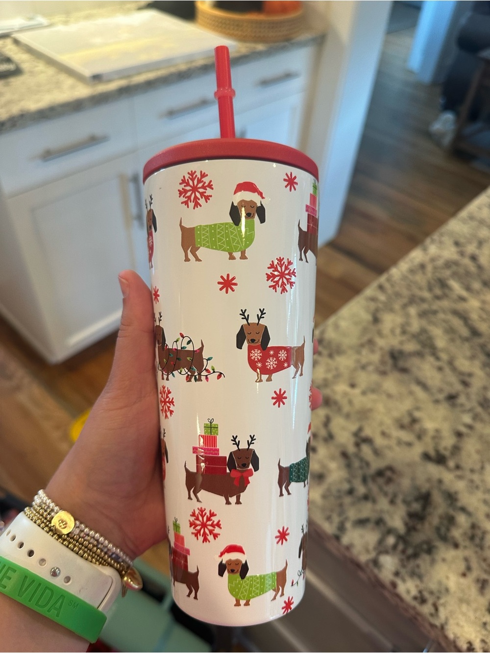 Festive Dachshund Holiday Tumbler with Straw - Red & White
